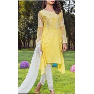 Gorgeous Pakistani Designer outfit